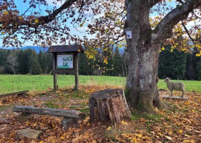 pomnik_valasske_ovci_02_www.mapy.cz