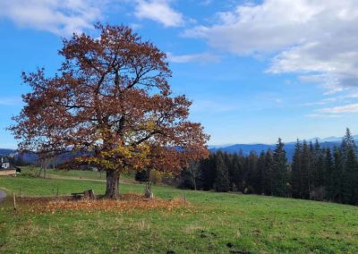 pomnik_valasske_ovci_03_www.mapy.cz